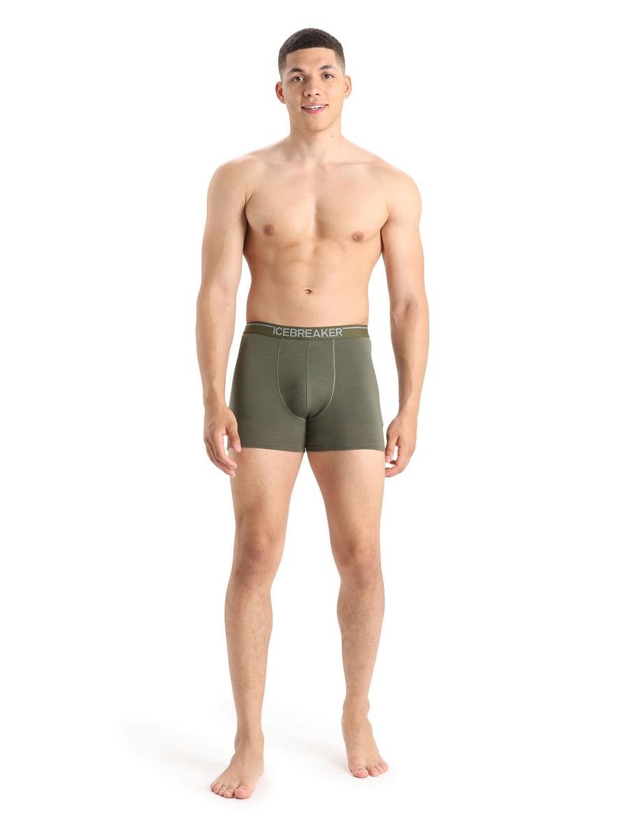 Loden Icebreaker Merino Anatomica Boxers Men's Underwear | AU 1313EBCX